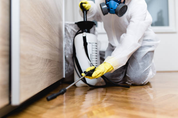 Pest Control for Restaurants in Crested Butte, CO