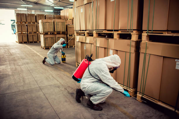 Best Pest Control for Businesses  in Crested Butte, CO