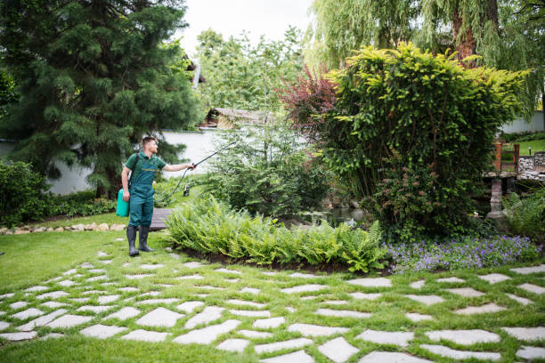 Best Ant Control Services  in Crested Butte, CO