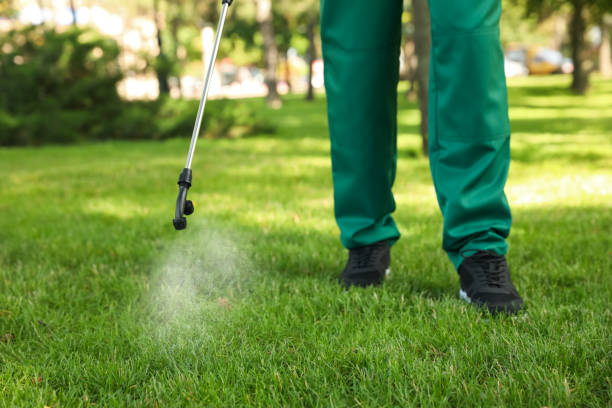 Best Pest Prevention Services  in Crested Butte, CO