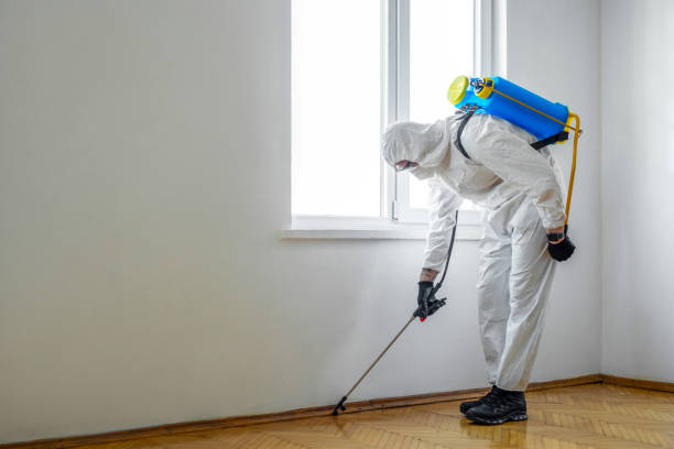 Best Best Pest Control Companies  in Crested Butte, CO