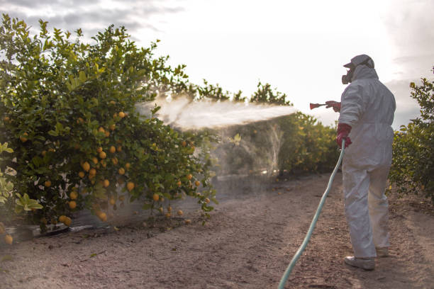 Crested Butte, CO Pest Control Company